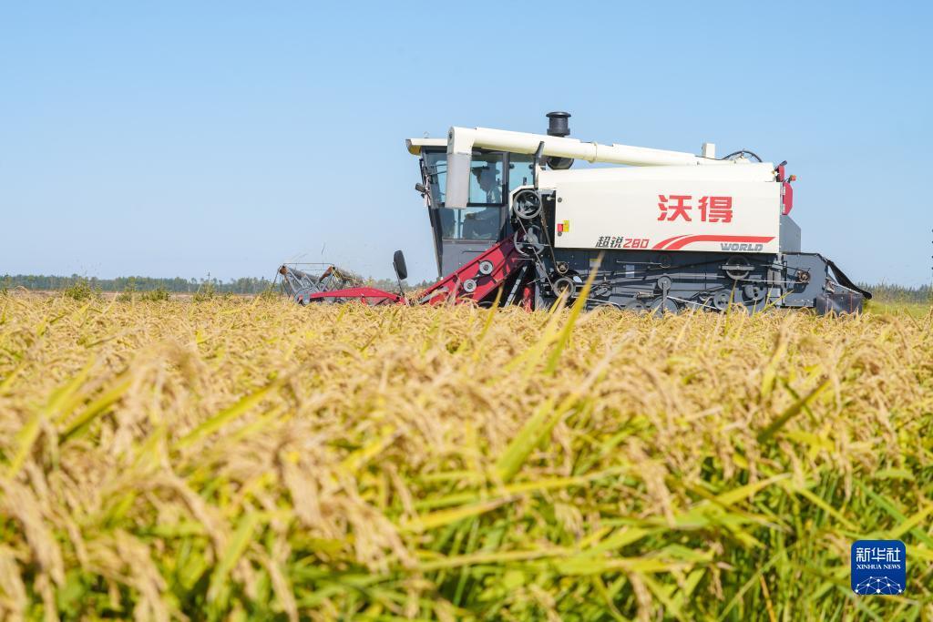 新莆京在线威尼斯